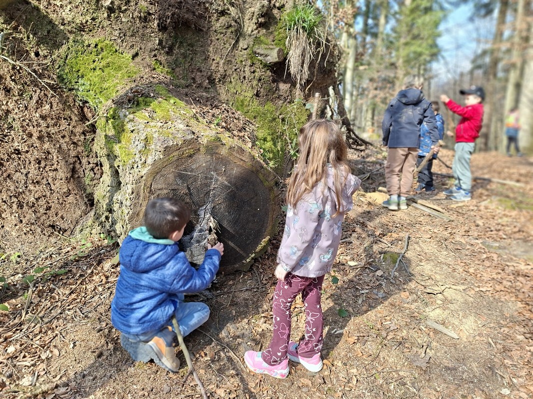 utrinki-iz-oddelkov/20260310_11