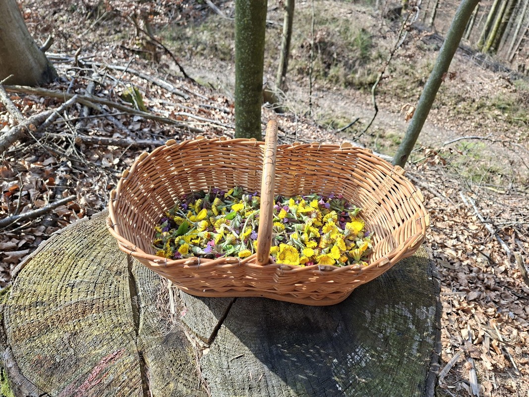 utrinki-iz-oddelkov/20260310_6