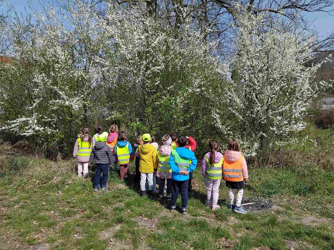 utrinki-iz-oddelkov/6_14