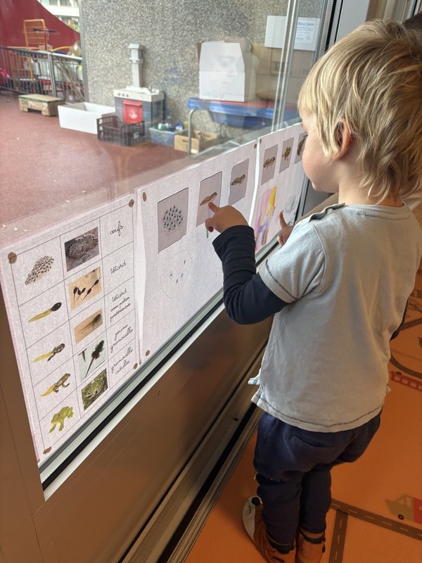 utrinki-iz-oddelkov/IMG_2010