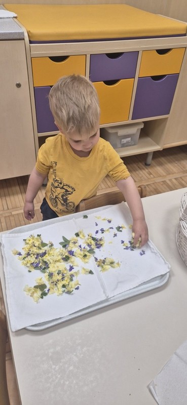 utrinki-iz-oddelkov/IMG_2015