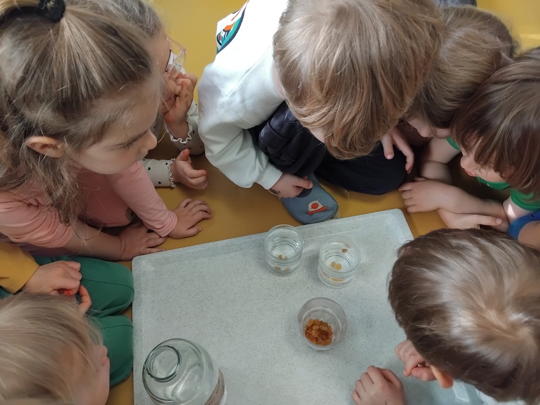 utrinki-iz-oddelkov/IMG_2026