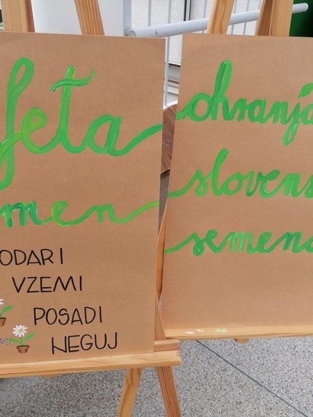 kategorija Štafeta semen - "fešta semen"