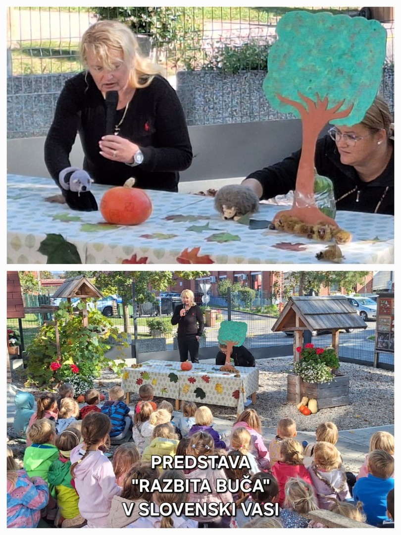 kategorija "Razbita buča"